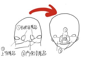 くちびる(口唇)はどうやって発生するの！？
